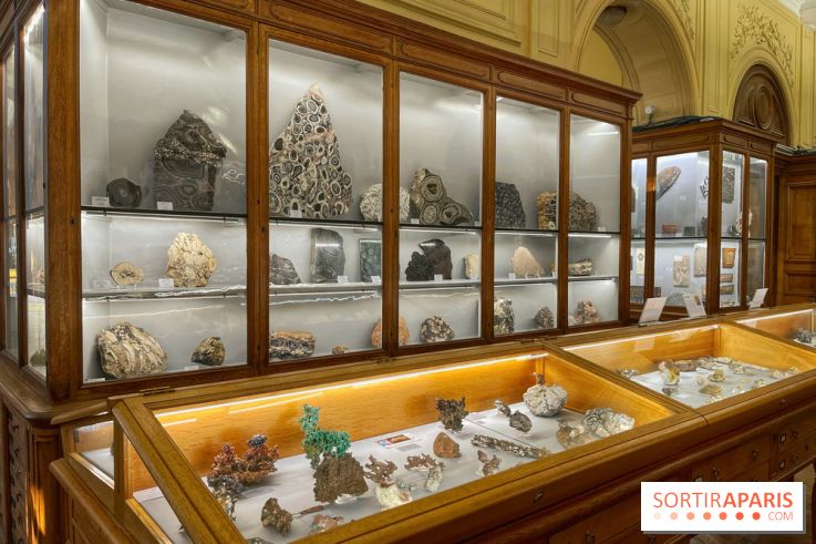 Musée de Minéralogie - IMG 5812