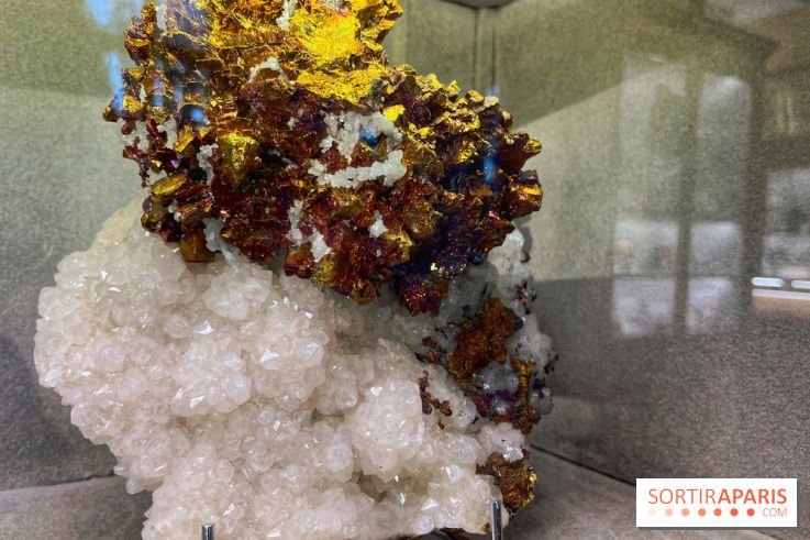 Musée de Minéralogie - IMG 5814