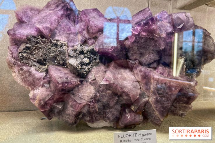 Musée de Minéralogie - IMG 5818