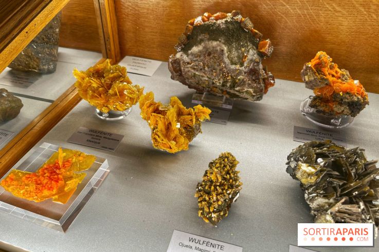 Musée de Minéralogie - IMG 5867