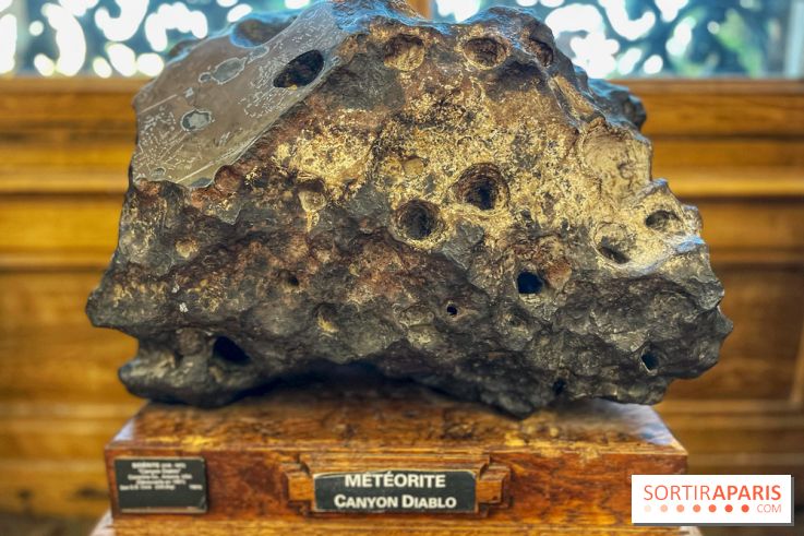 Musée de Minéralogie - météorite