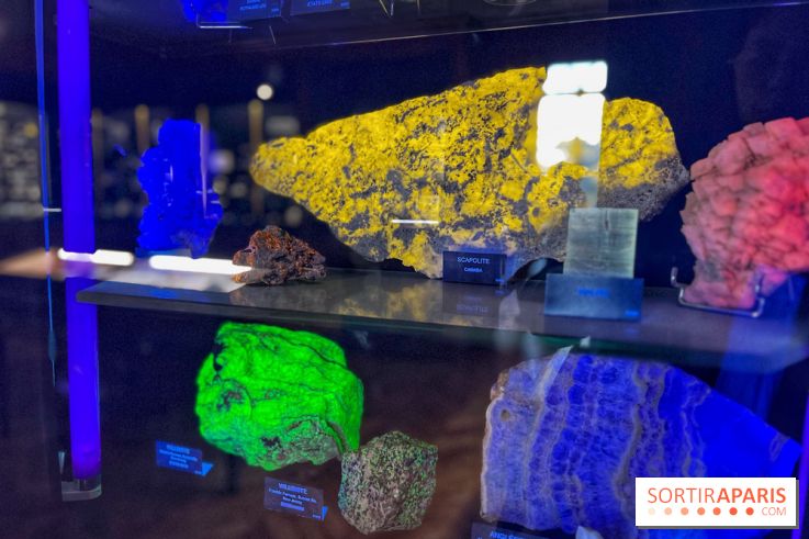 Musée de Minéralogie - IMG 5883