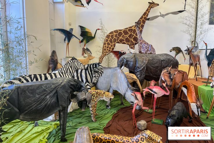 La faune en plis - nos photos - image00027