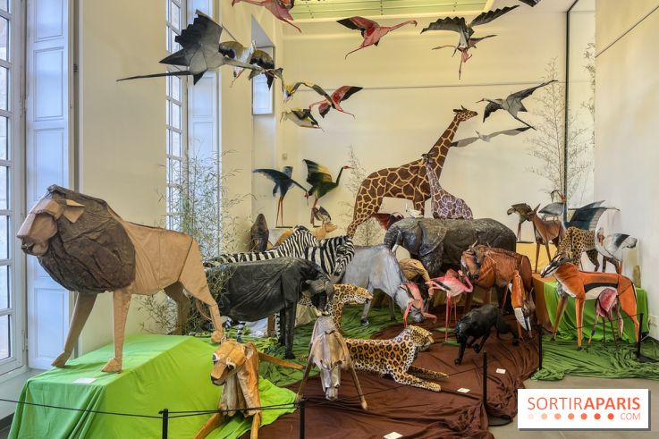 La faune en plis - nos photos - image00028