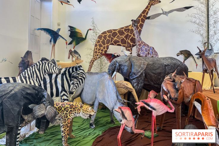 La faune en plis - nos photos - image00025