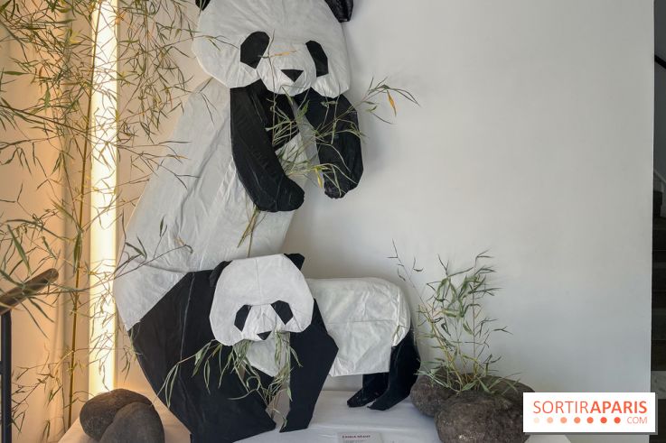 La faune en plis - nos photos - image00021