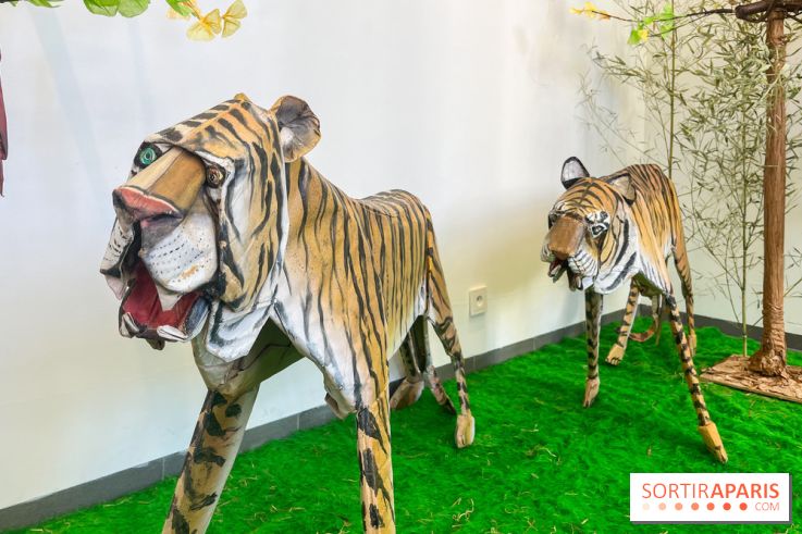 La faune en plis - nos photos - image00023