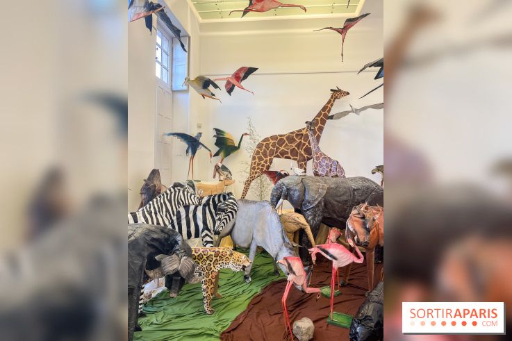 La faune en plis - nos photos - image00024