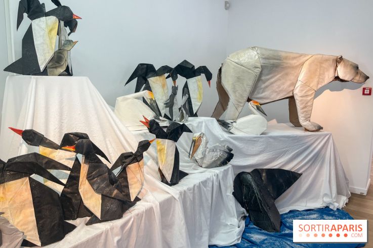 La faune en plis - nos photos - image00019