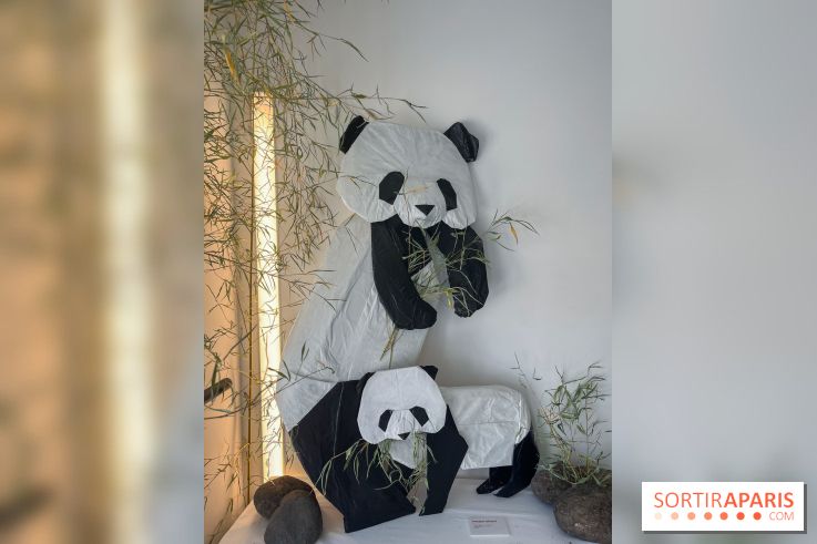 La faune en plis - nos photos - image00020