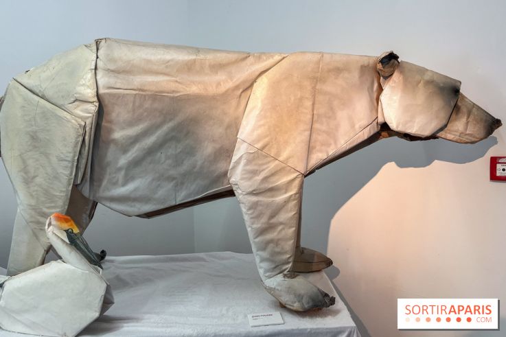 La faune en plis - nos photos - image00017