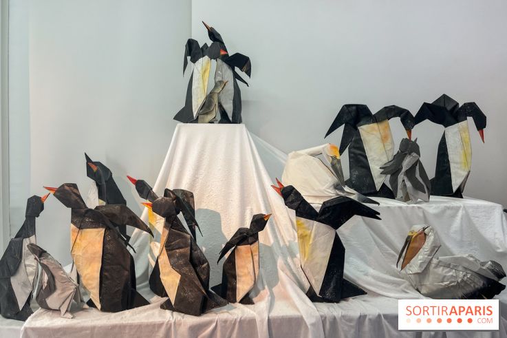 La faune en plis - nos photos - image00018