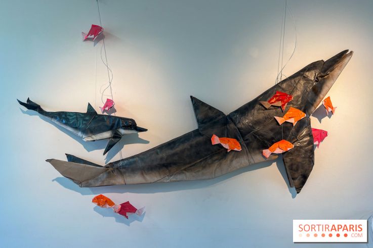 La faune en plis - nos photos - image00015