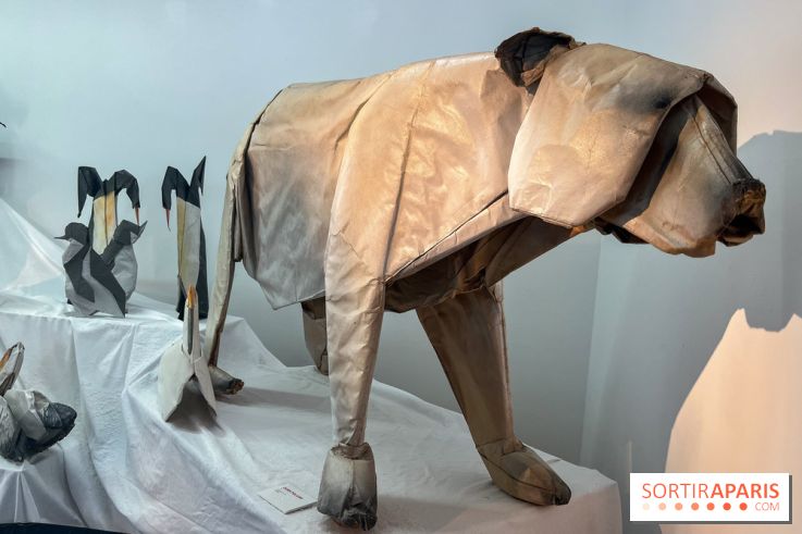 La faune en plis - nos photos - image00016