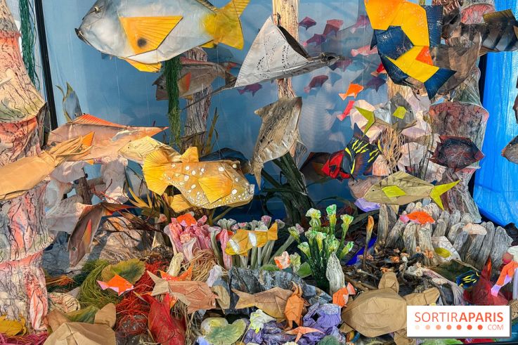 La faune en plis - nos photos - image00012