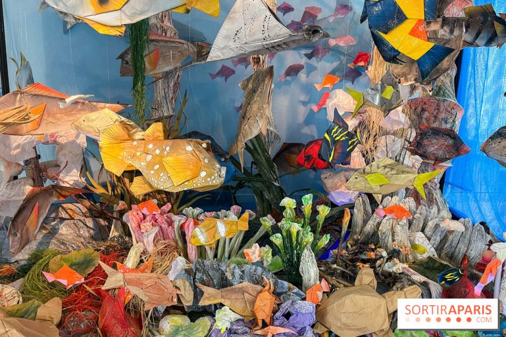 La faune en plis - nos photos - image00013