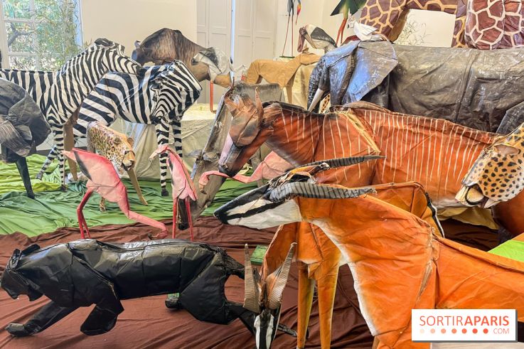 La faune en plis - nos photos - image00002