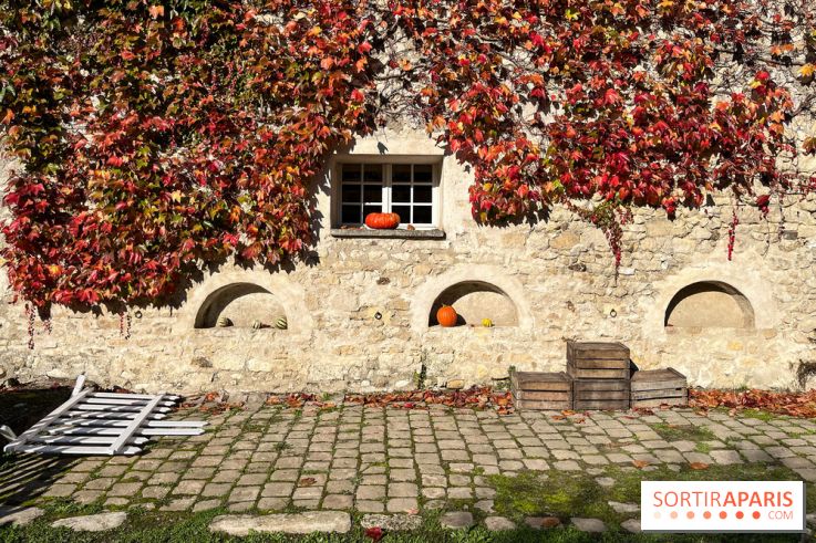 La Fête de la Citrouille - nos photos - image00022