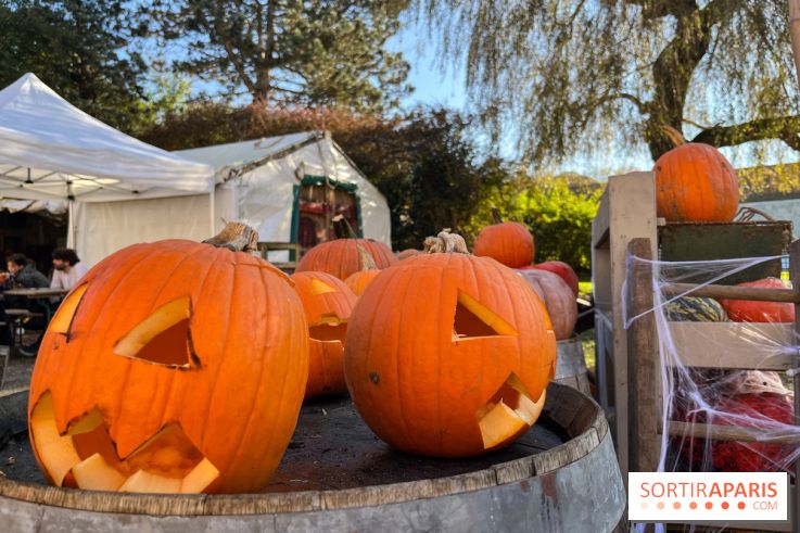 La Fête de la Citrouille - nos photos - image00017