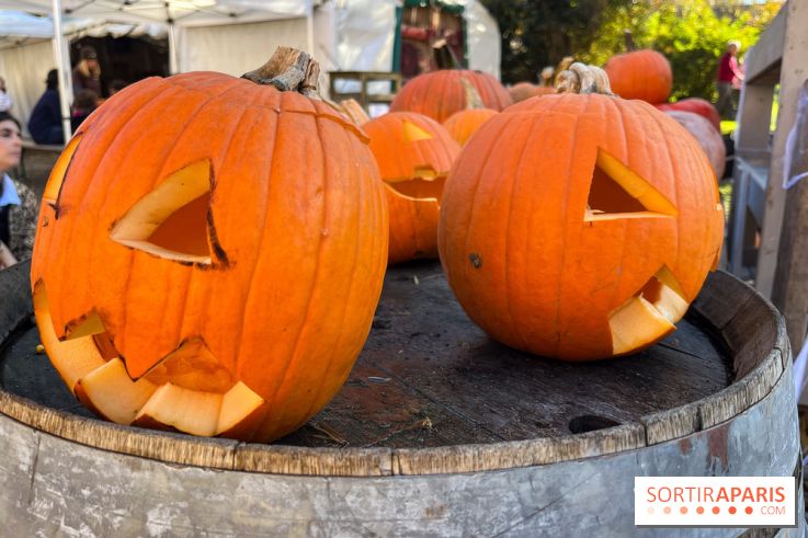 La Fête de la Citrouille - nos photos - image00018