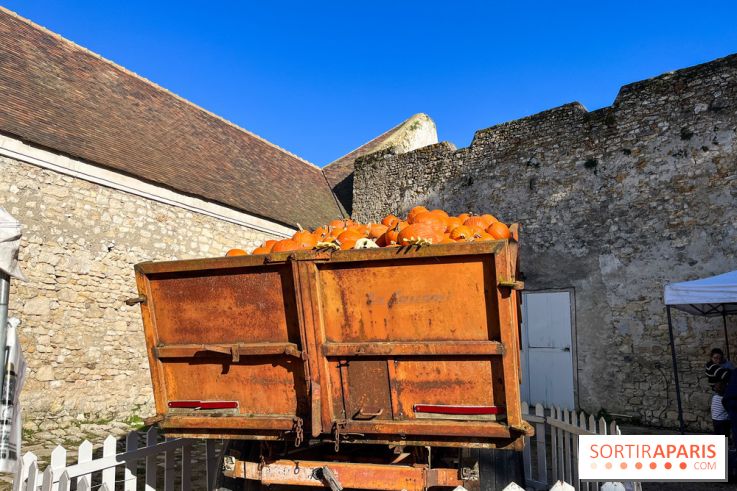 La Fête de la Citrouille - nos photos - image00019