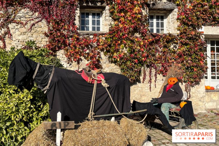 La Fête de la Citrouille - nos photos - image00016