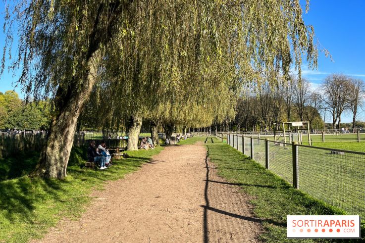 La Fête de la Citrouille - nos photos - image00014
