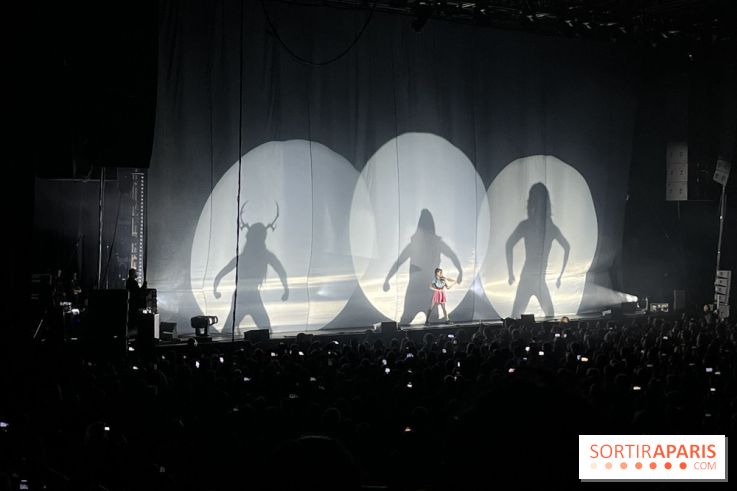 Concert de Lindsey Stirling  - IMG 5979