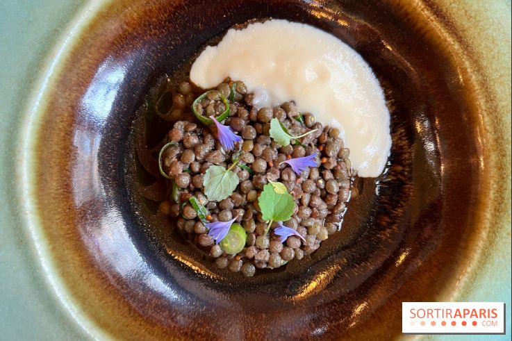 Maison Brut Paris - Lentilles vertes, oignon doux