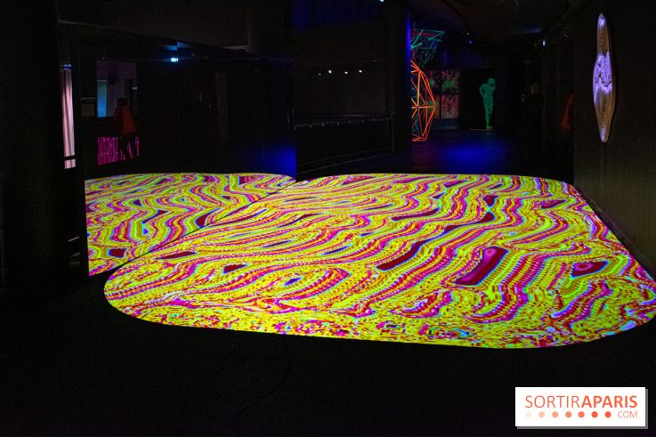 Pixels au Grand Palais Immersif : nos photos de l'exposition qui mêle art numérique et IA - DSC 2011