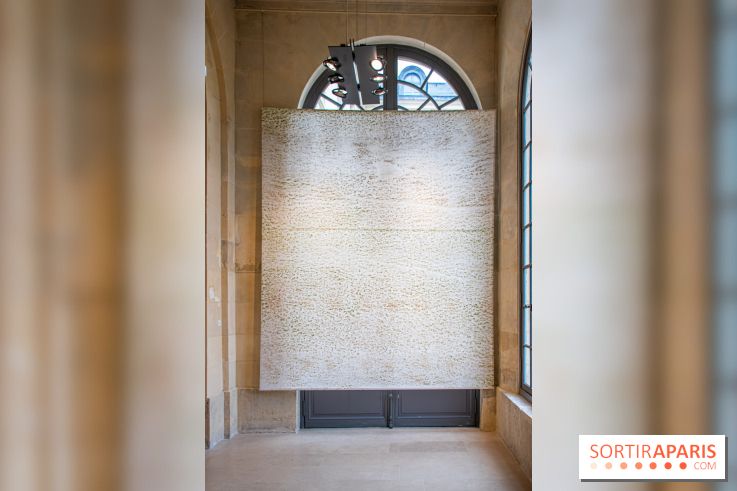 Exposition Les Cimes de l’Asphalte de Duy Anh Nhan Duc à l’Espace Richaud - DSC 2046