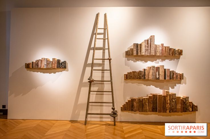 Exposition Les Cimes de l’Asphalte de Duy Anh Nhan Duc à l’Espace Richaud - DSC 2047