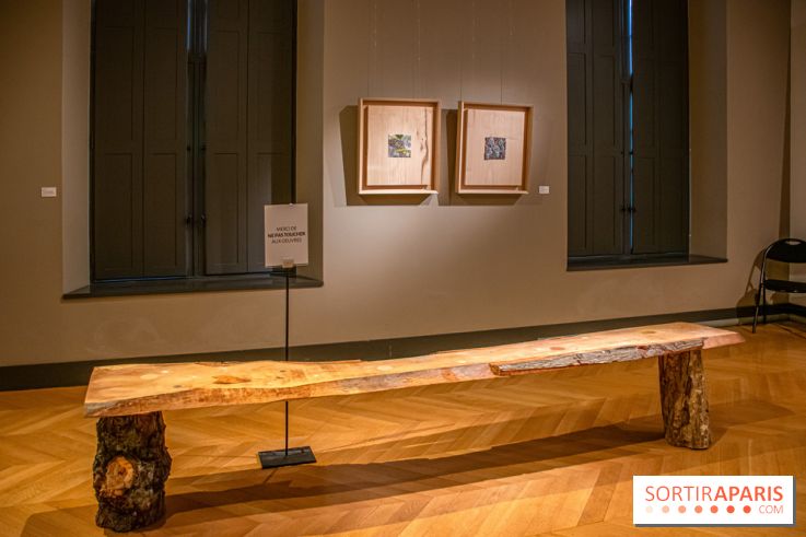 Exposition Les Cimes de l’Asphalte de Duy Anh Nhan Duc à l’Espace Richaud - DSC 2049