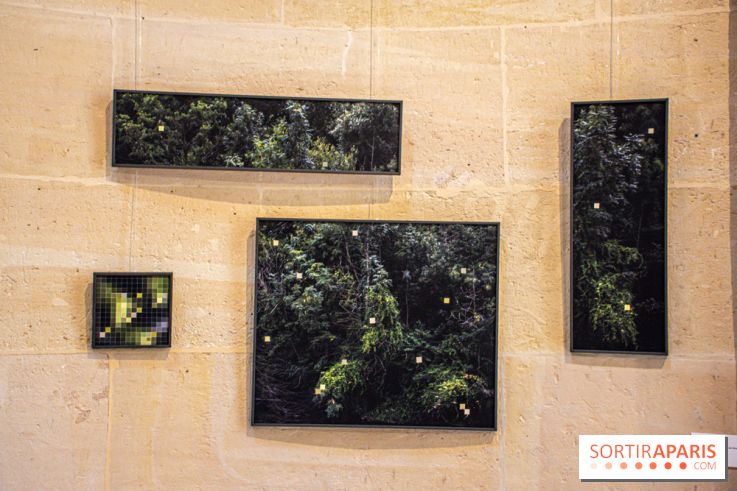 Exposition Les Cimes de l’Asphalte de Duy Anh Nhan Duc à l’Espace Richaud