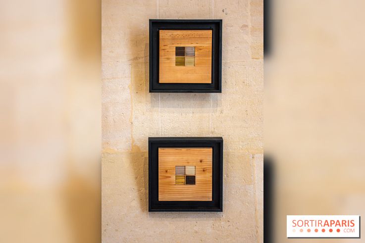 Exposition Les Cimes de l’Asphalte de Duy Anh Nhan Duc à l’Espace Richaud - DSC 2076