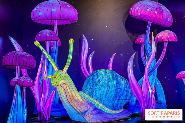 Les vitrines de Noël 2024 de la Samaritaine : Thoiry Lumières Sauvages envahit le grand magasin - Les vitrines de Noël 2024 de la Samaritaine : Thoiry Lumières Sauvages envahit le grand magasin   image00023   1125738