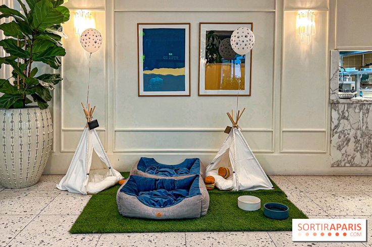 Le Doggy Brunch : le brunch gourmand entre chiens et maîtres à l'hôtel Kimpton Saint Honoré Paris