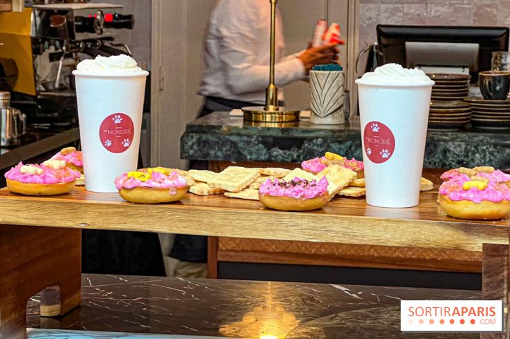 Le Doggy Brunch : le brunch gourmand entre chiens et maîtres à l'hôtel Kimpton Saint Honoré Paris - image00059