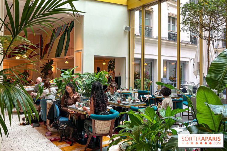 Le Doggy Brunch : le brunch gourmand entre chiens et maîtres à l'hôtel Kimpton Saint Honoré Paris - image00070