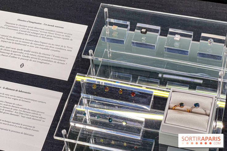 L'exposition gratuite des bijoux de la Maison de Haute-Joaillerie Vever rue de la Paix, à Paris  - image00027