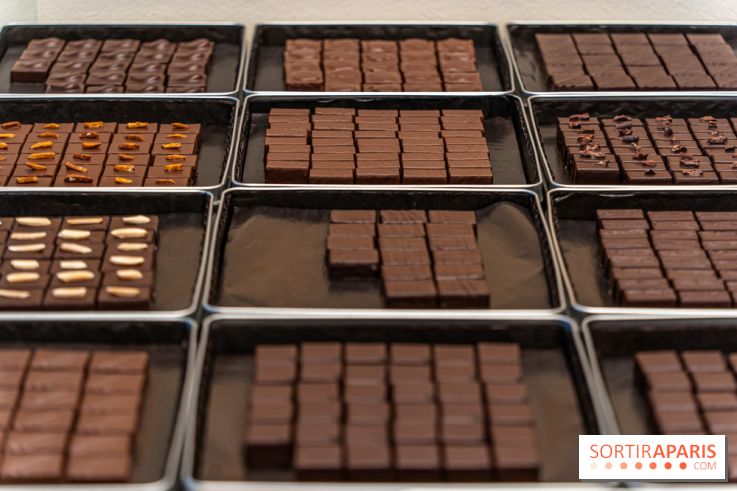La chocolaterie William Artigue et ses chocolats de Noël 2024