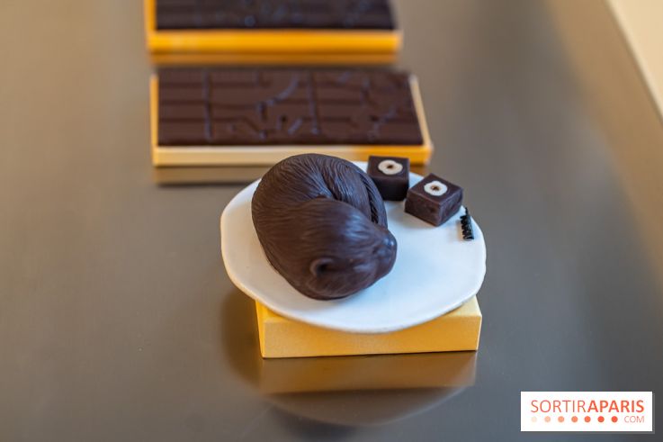 La chocolaterie William Artigue et ses chocolats de Noël 2024