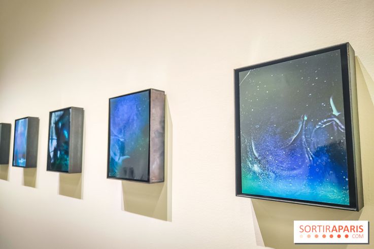 La Grande expédition : l'exposition entre art et science au Centquatre-Paris - nos photos - IMG20241115095446