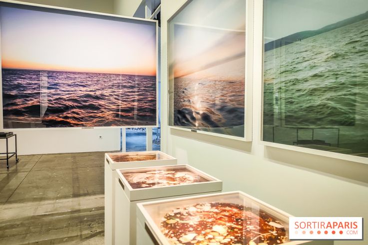 La Grande expédition : l'exposition entre art et science au Centquatre-Paris - nos photos - IMG20241115095134