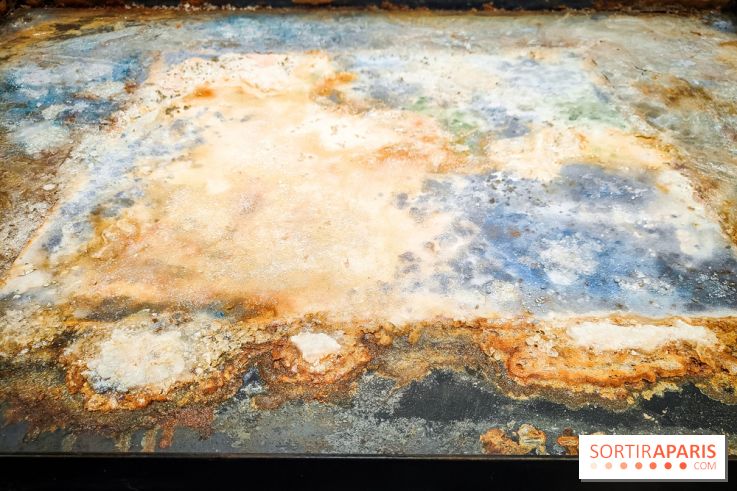 La Grande expédition : l'exposition entre art et science au Centquatre-Paris - nos photos - IMG20241115095053