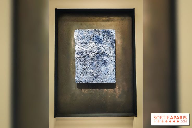 La Grande expédition : l'exposition entre art et science au Centquatre-Paris - nos photos - IMG20241115095439