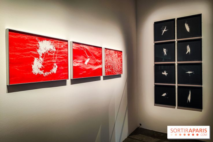 La Grande expédition : l'exposition entre art et science au Centquatre-Paris - nos photos - IMG20241115095239