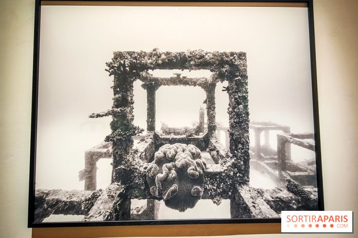 La Grande expédition : l'exposition entre art et science au Centquatre-Paris - nos photos - IMG20241115100114