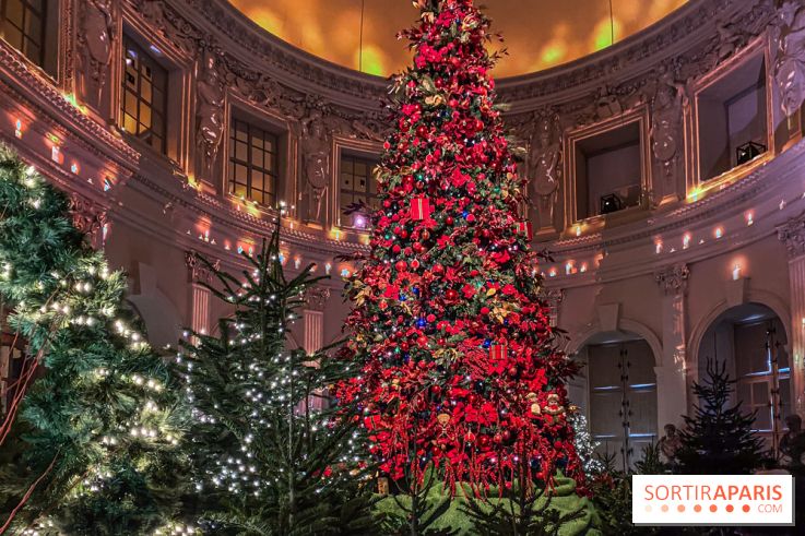 Noël 2024 au Château de Vaux-le-Vicomte : une expérience magique avec une patinoire