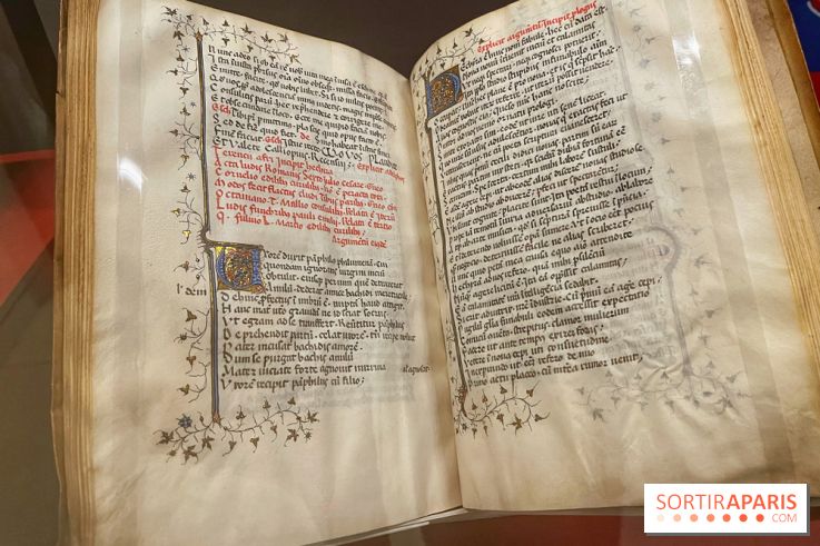 Feuilleter Notre-Dame - IMG 6531